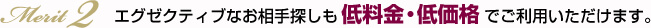 エグゼクティブなお相手探しも低料金・低価格でご利用いただけます。