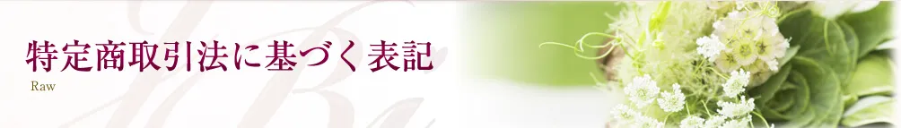  » 特定商取引法に基づく表記